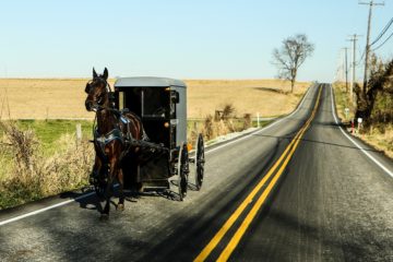 picture of Lancaster PA scenery/road with horse and buggy traveling down the road