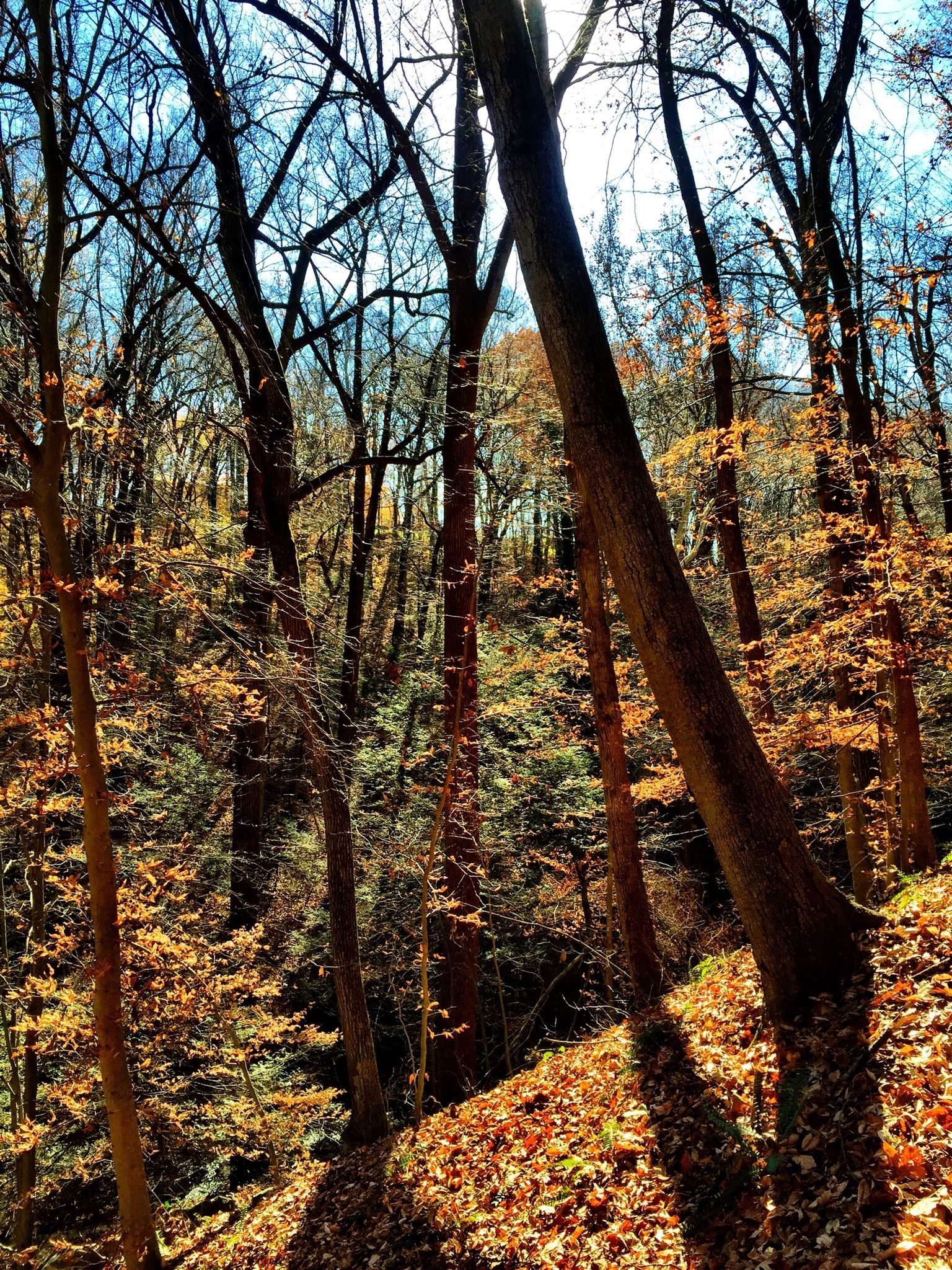 Hiking In Lancaster County PA | Trails in Lancaster County PA ...